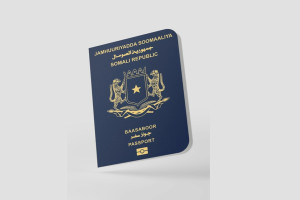 Somalia’s passport ranks 100th on 2025 Henley Index as visa-free access grows to 33 countries